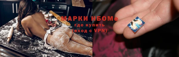 хмурый Алексин