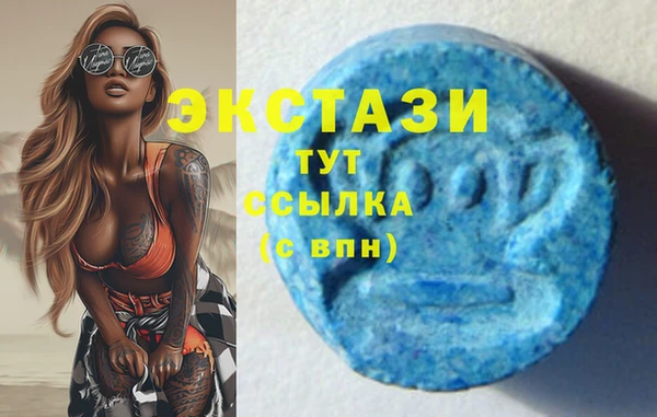 хмурый Алексин